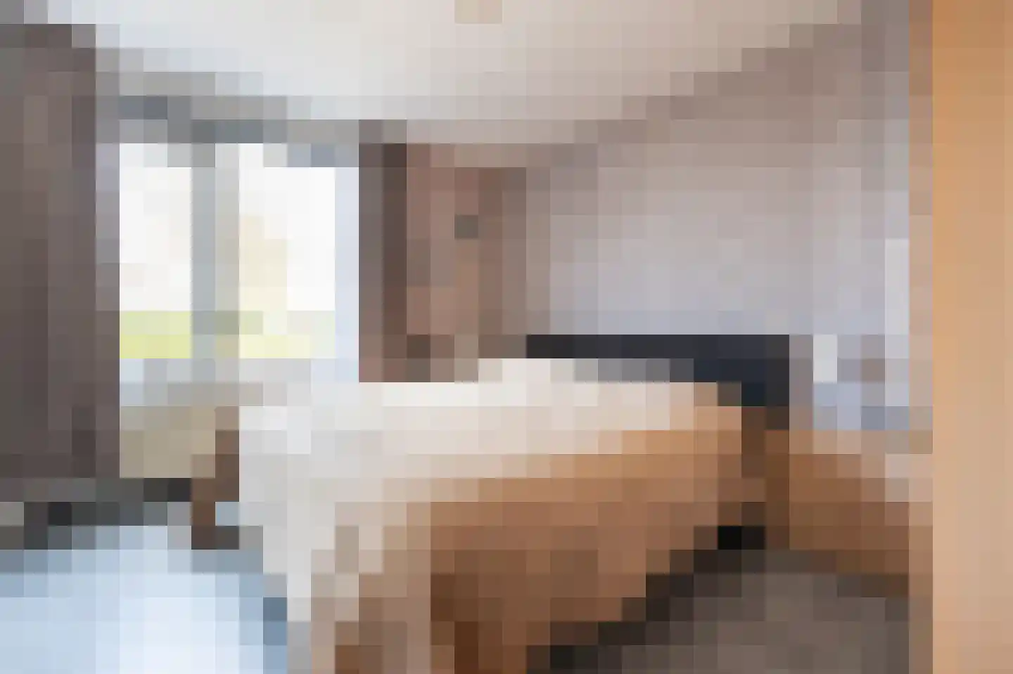 Grijze Kraai 26 Emmen thumbnail 17