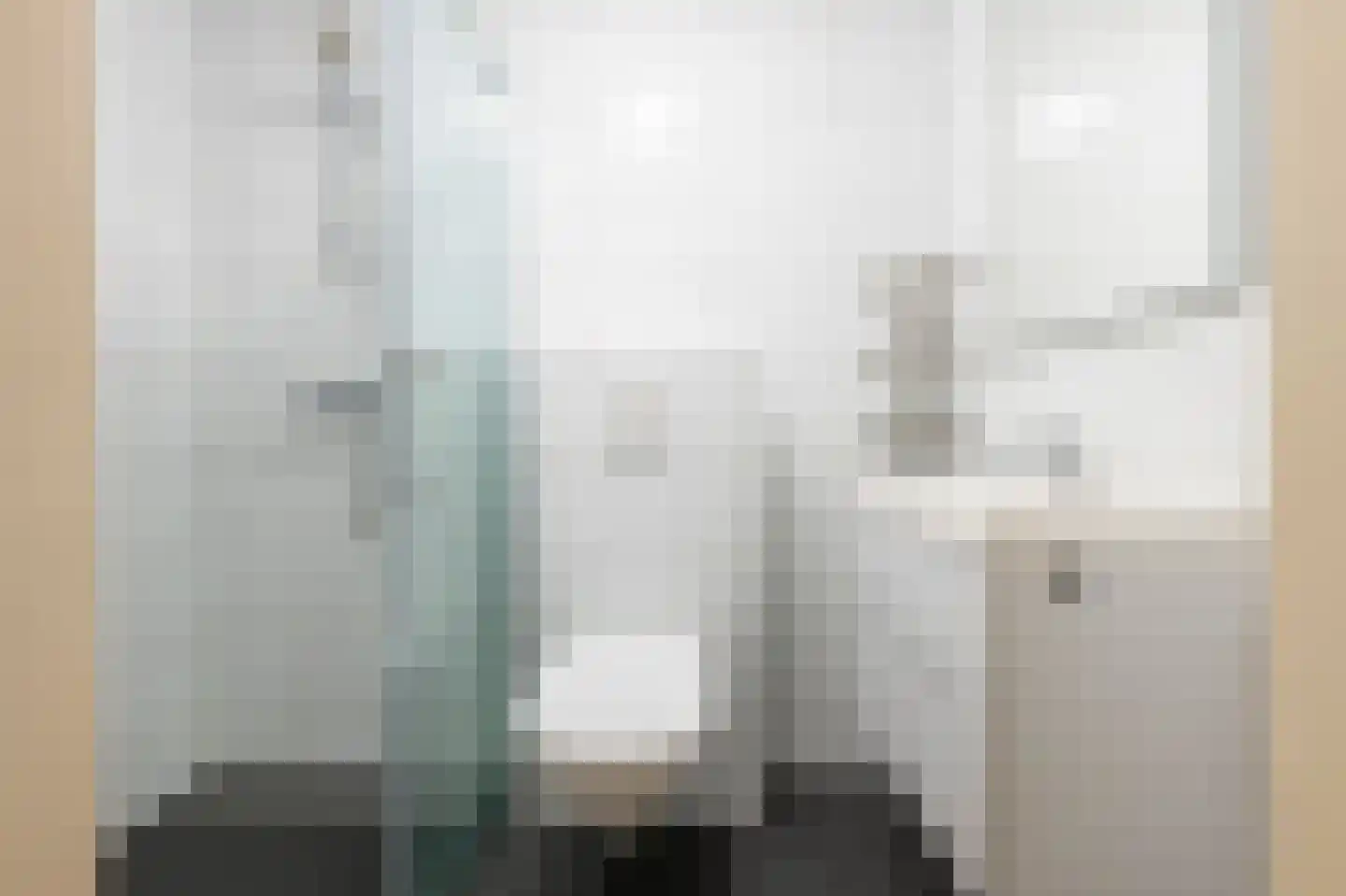 Grijze Kraai 26 Emmen thumbnail 20