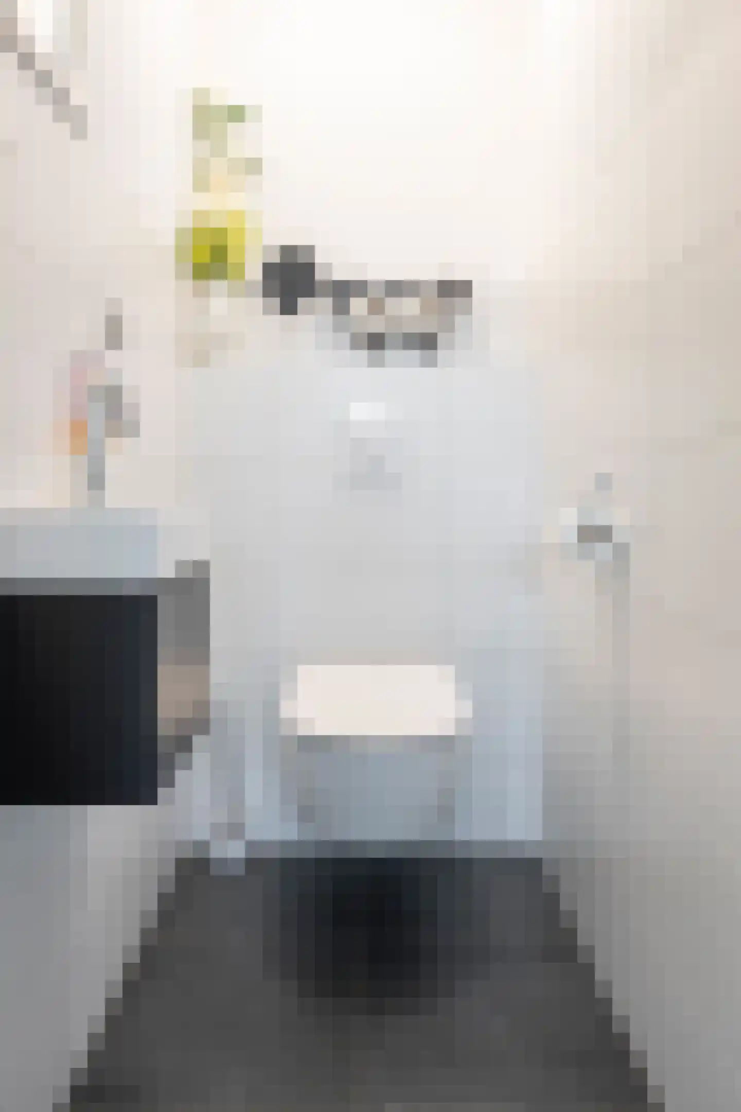 Grijze Kraai 26 Emmen thumbnail 21