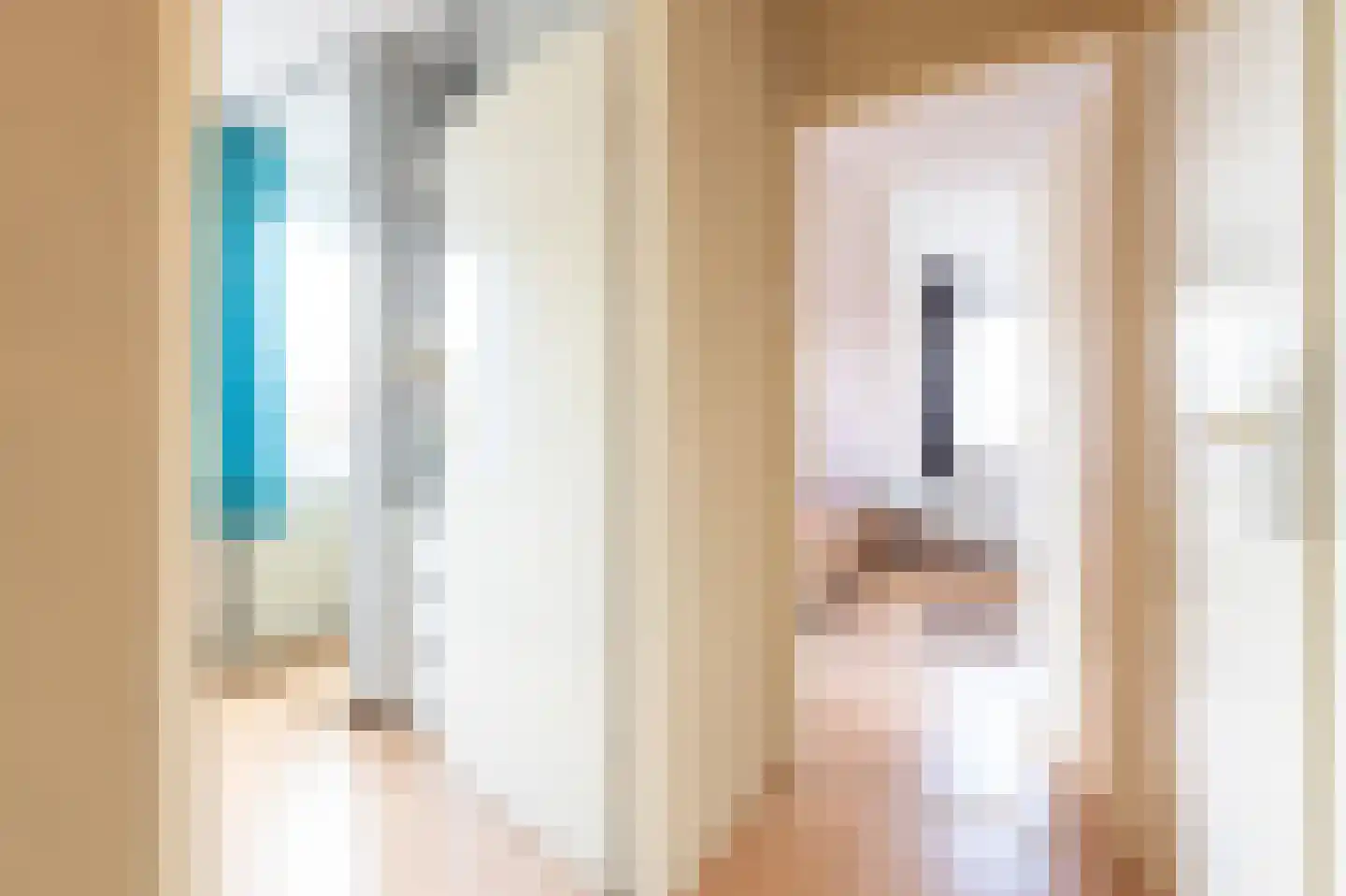 Grijze Kraai 26 Emmen thumbnail 22