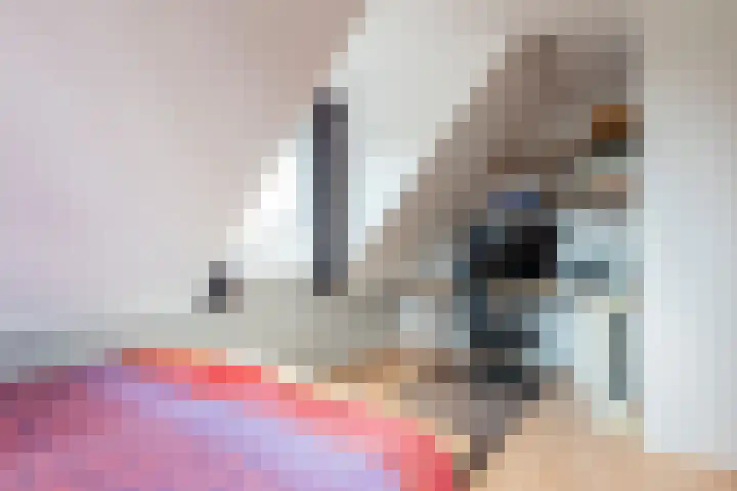 Grijze Kraai 26 Emmen thumbnail 24