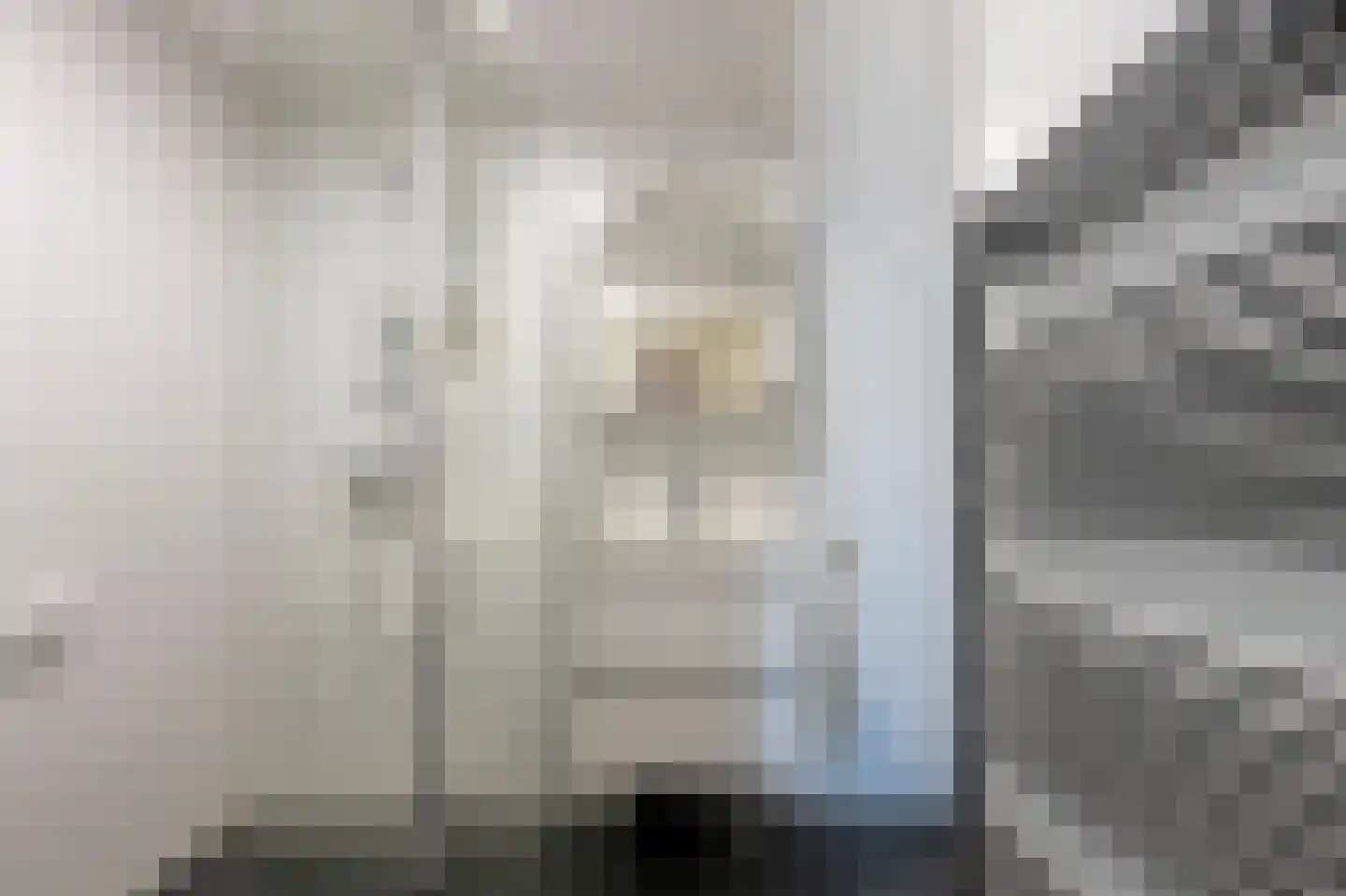 Grijze Kraai 26 Emmen thumbnail 26