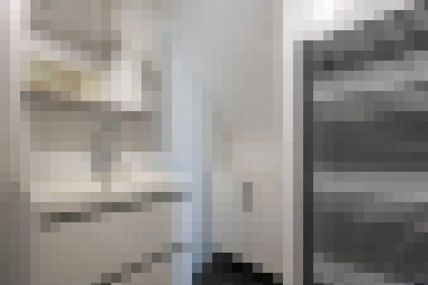 Grijze Kraai 26 Emmen thumbnail 27