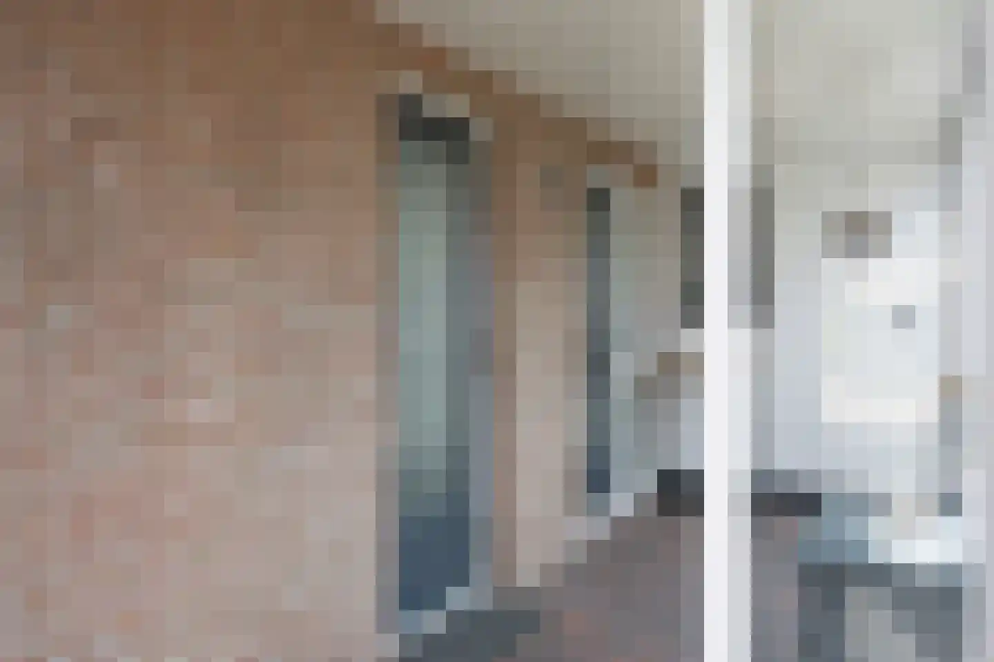 Grijze Kraai 26 Emmen thumbnail 28