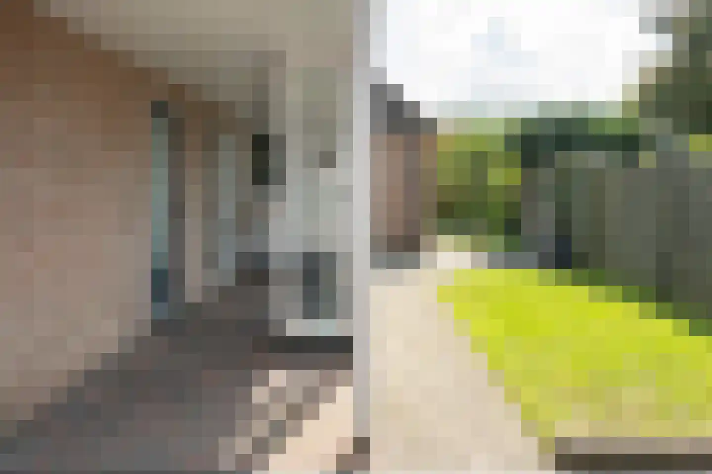 Grijze Kraai 26 Emmen thumbnail 29