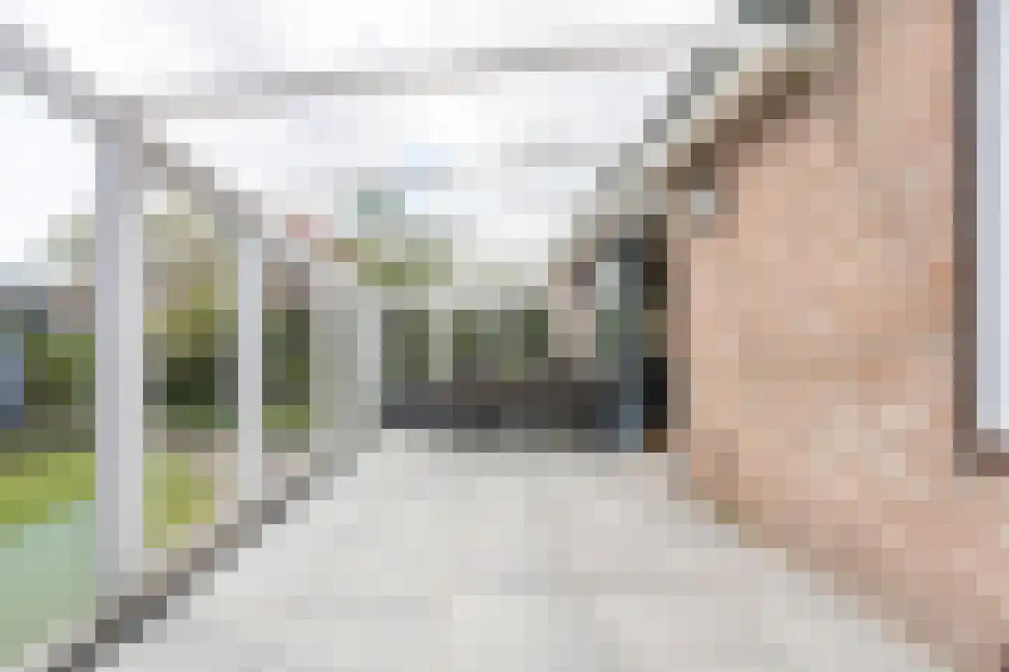 Grijze Kraai 26 Emmen thumbnail 31