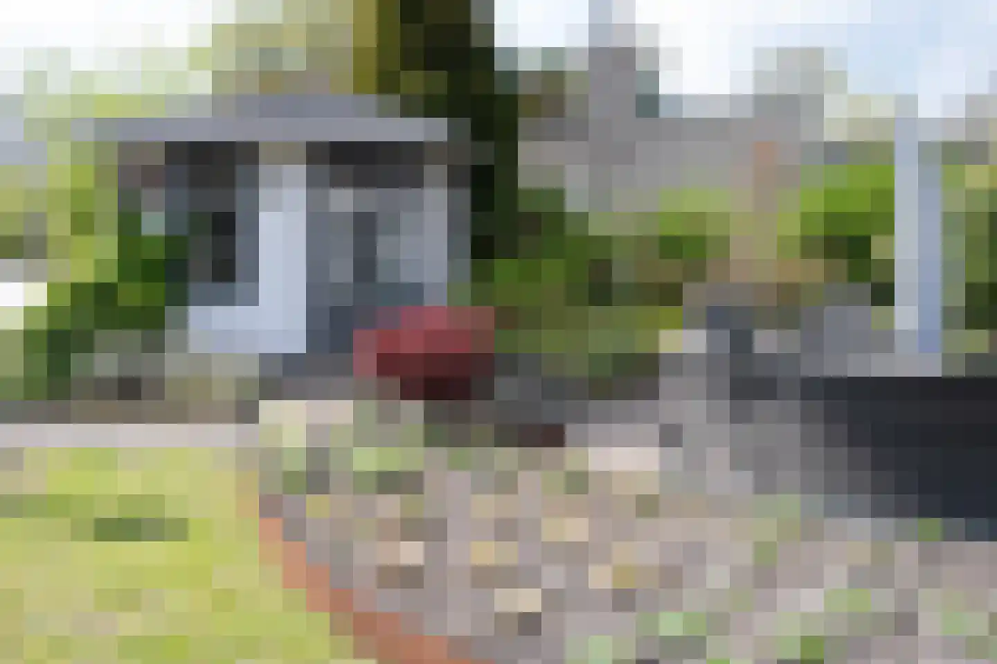 Grijze Kraai 26 Emmen thumbnail 33