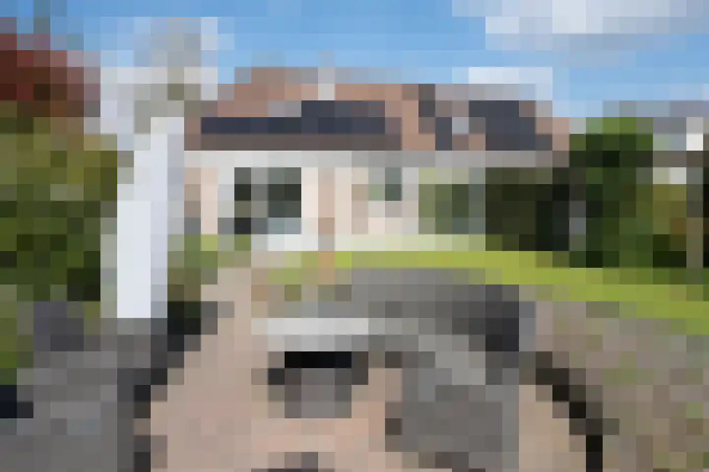 Grijze Kraai 26 Emmen thumbnail 35