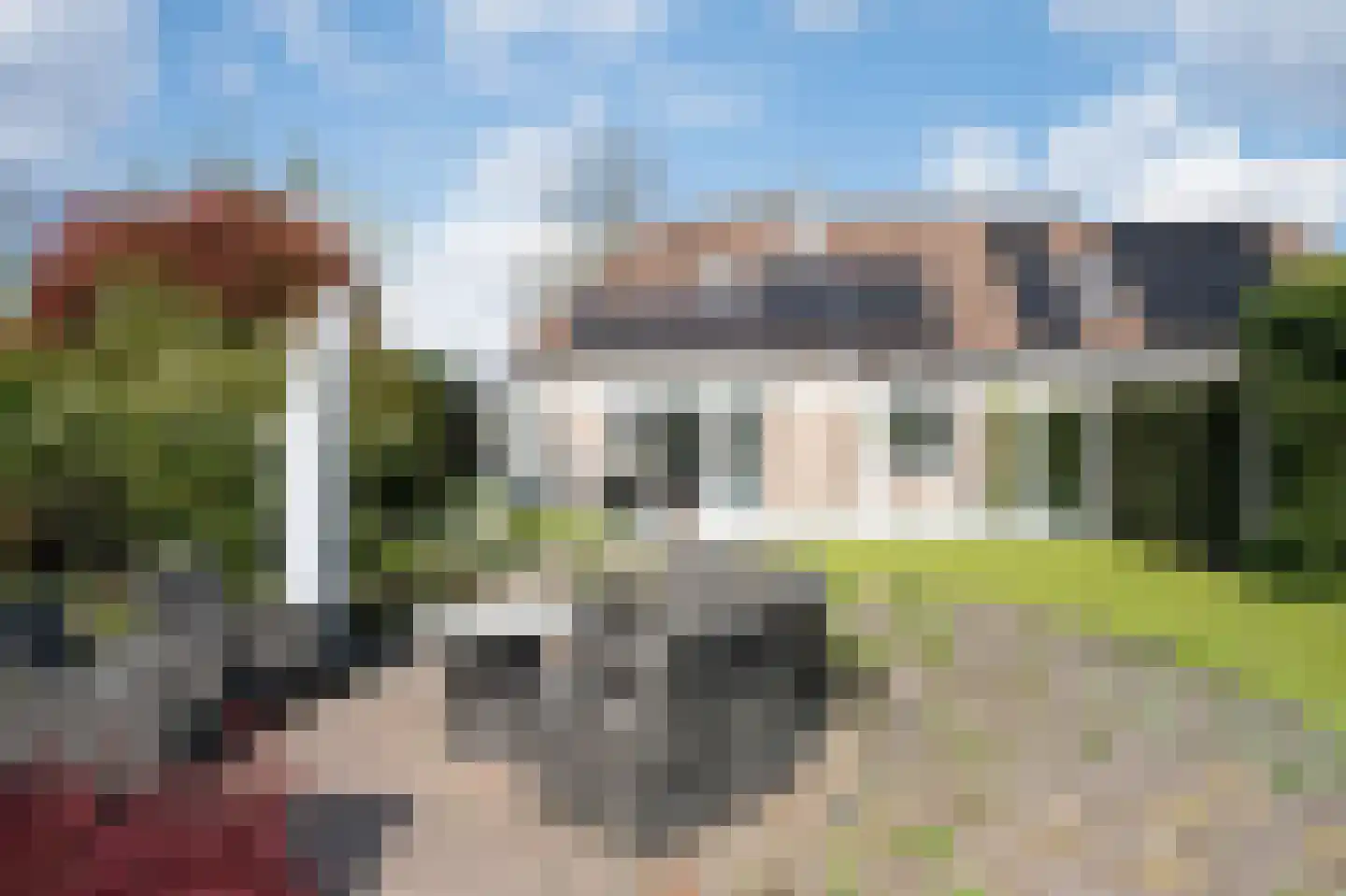 Grijze Kraai 26 Emmen thumbnail 36