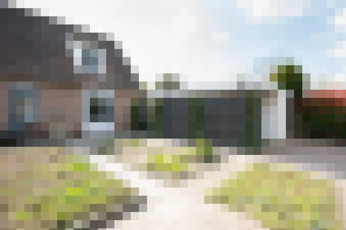 Grijze Kraai 26 Emmen thumbnail 38