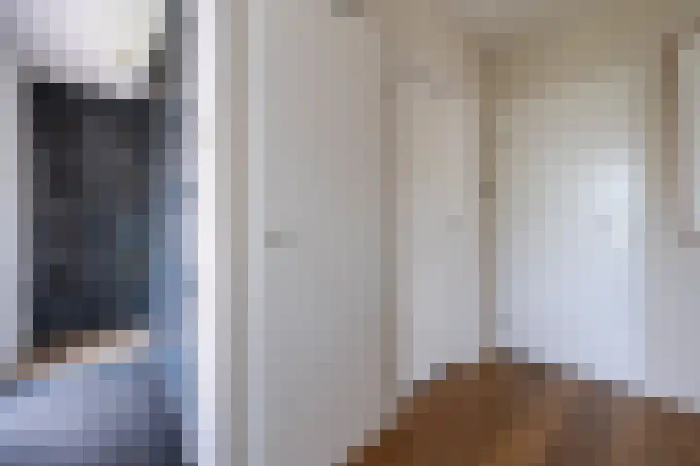 Grijze Kraai 26 Emmen thumbnail 4