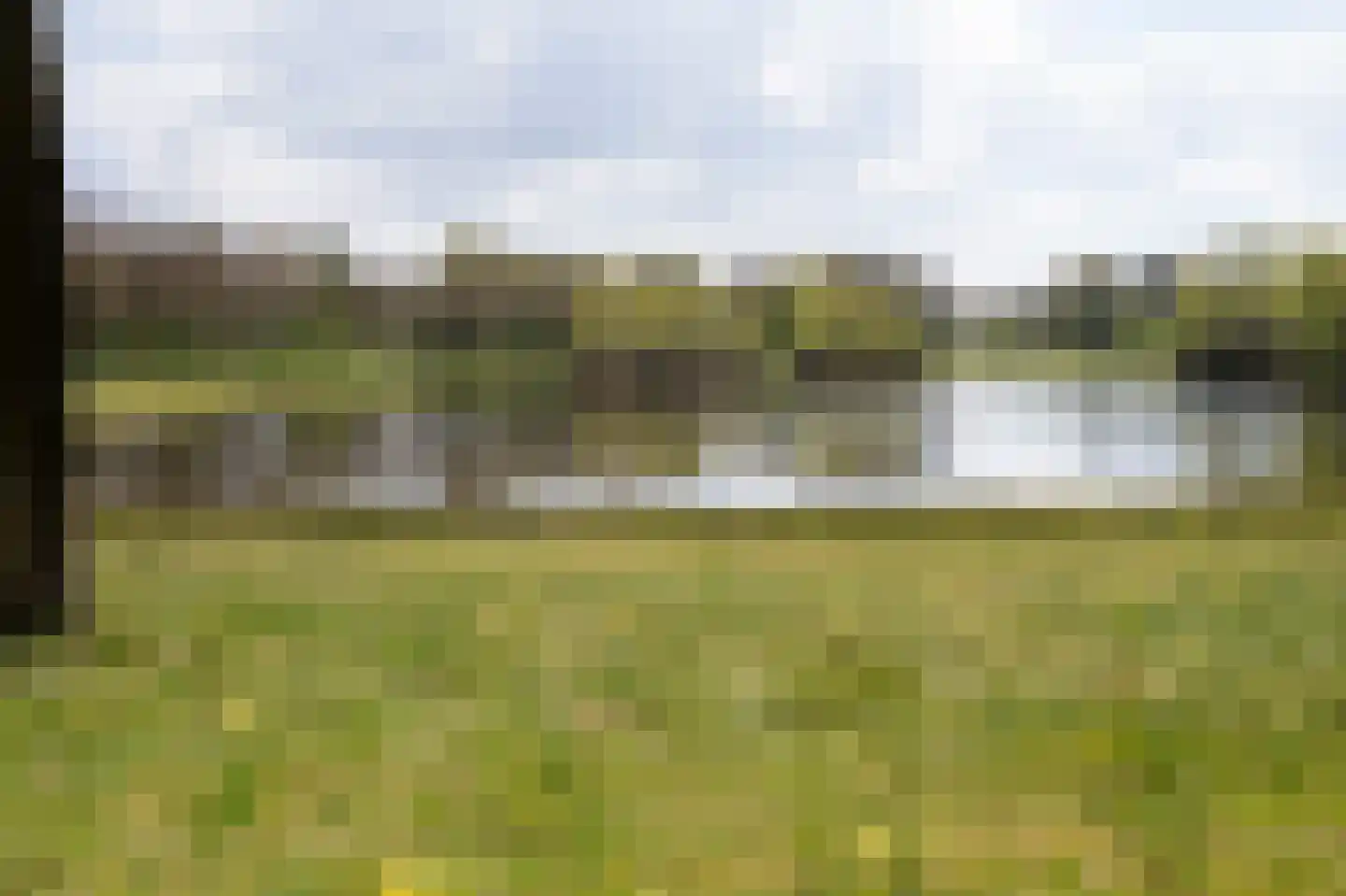 Grijze Kraai 26 Emmen thumbnail 44