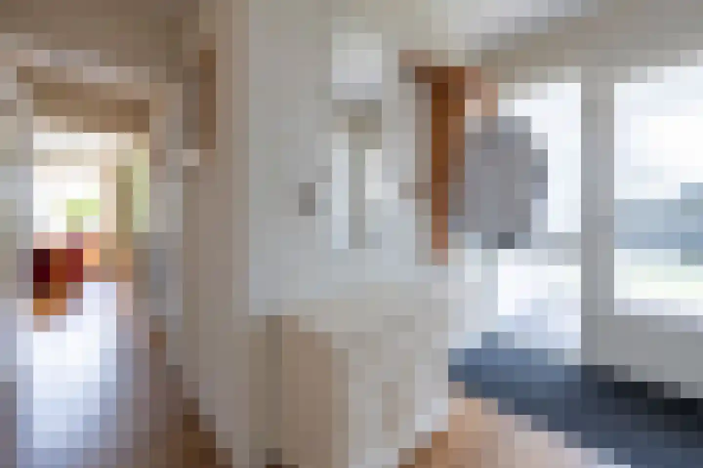 Grijze Kraai 26 Emmen thumbnail 5