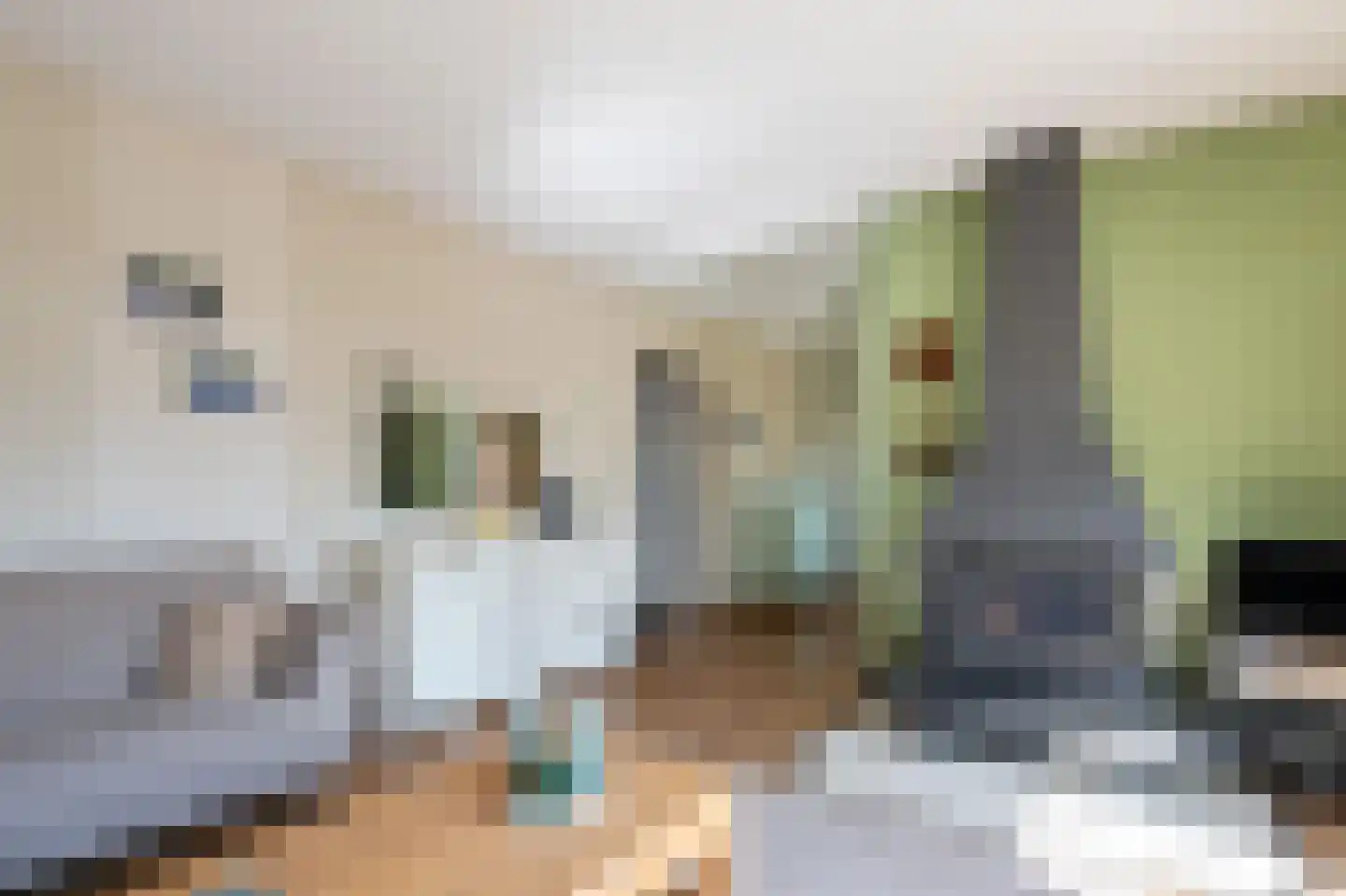 Grijze Kraai 26 Emmen thumbnail 8
