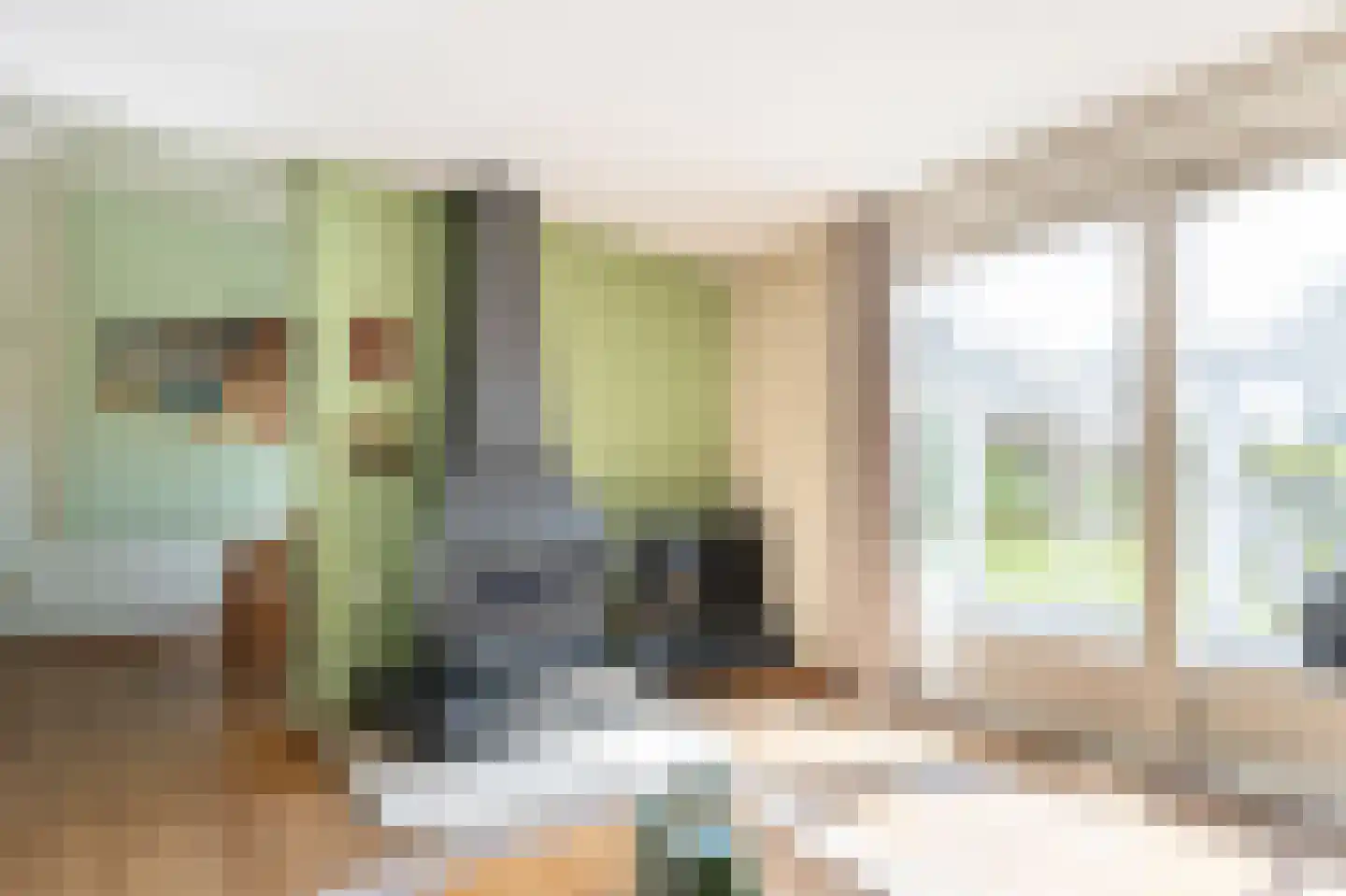 Grijze Kraai 26 Emmen thumbnail 9