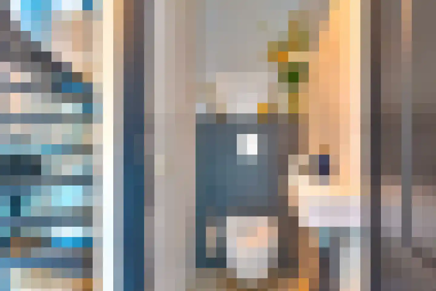 Grijze Kraai 46 Emmen thumbnail 10