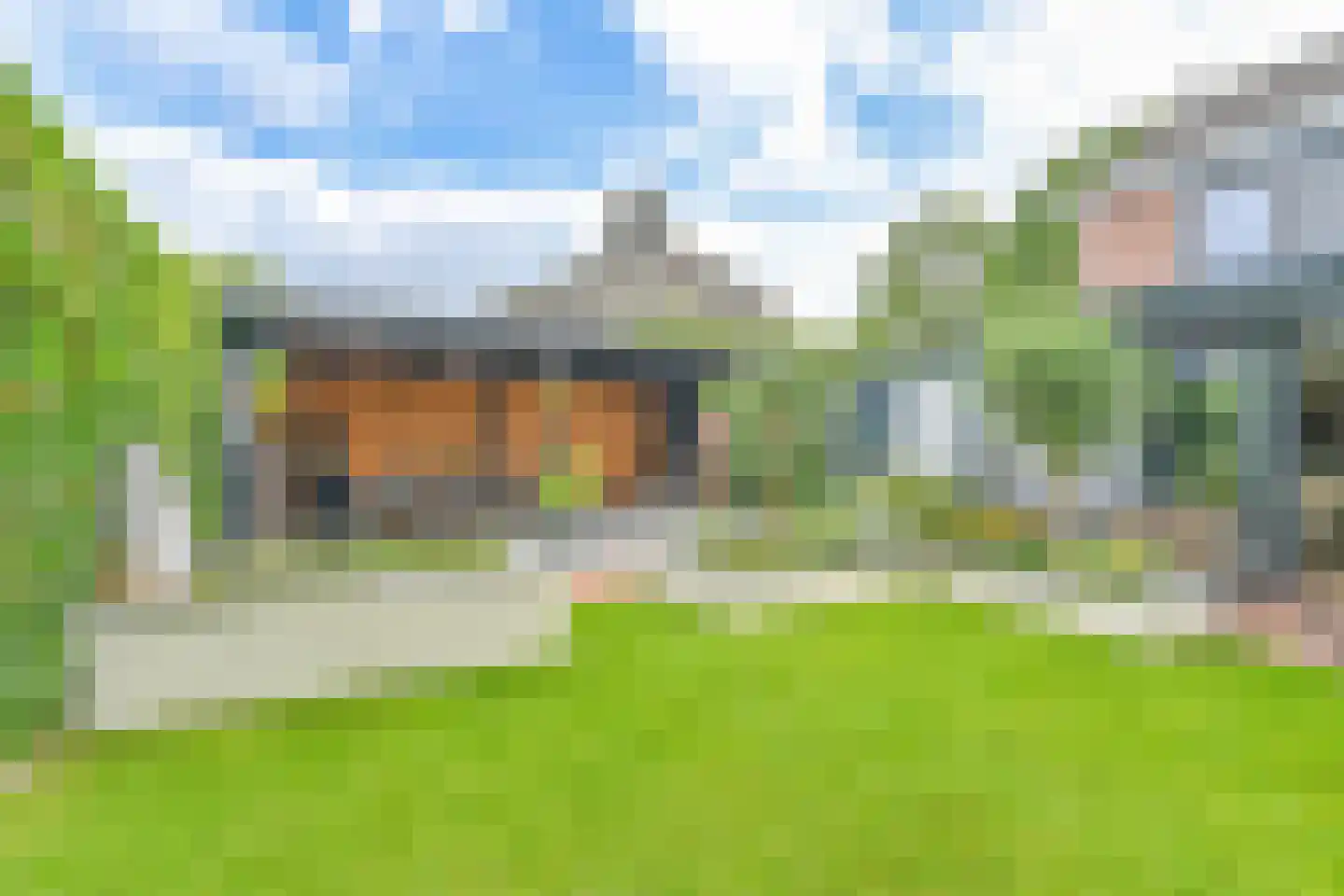 Grijze Kraai 46 Emmen thumbnail 100