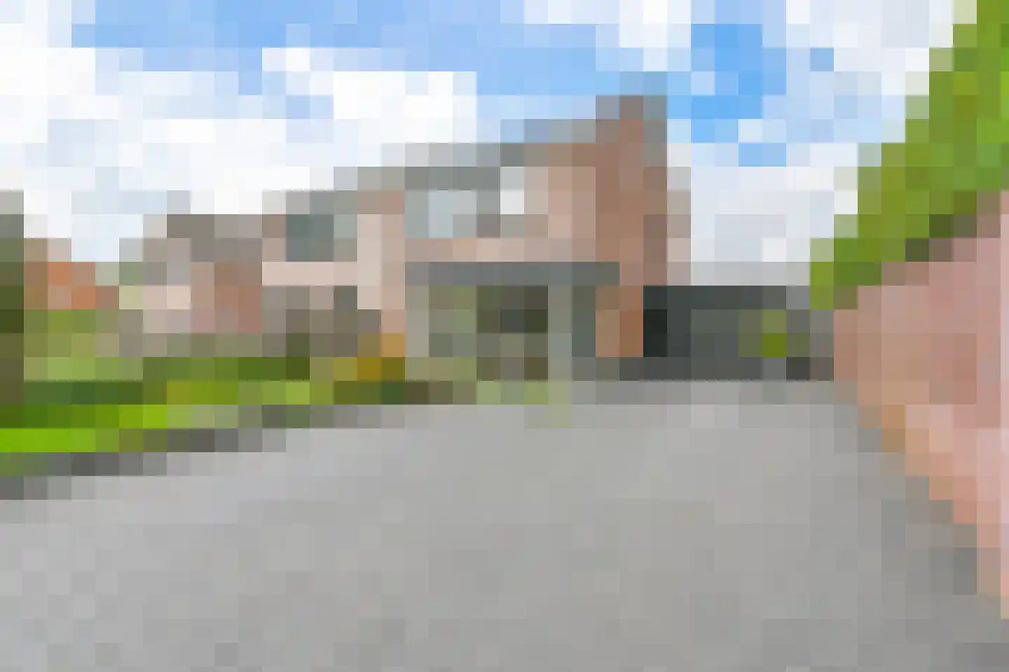 Grijze Kraai 46 Emmen thumbnail 102