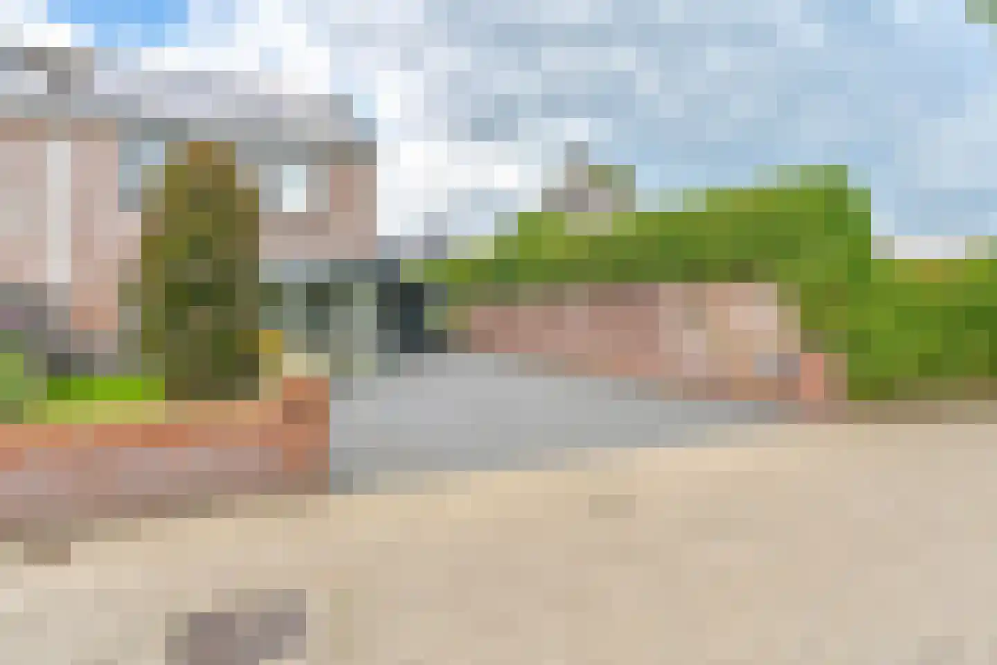 Grijze Kraai 46 Emmen thumbnail 103