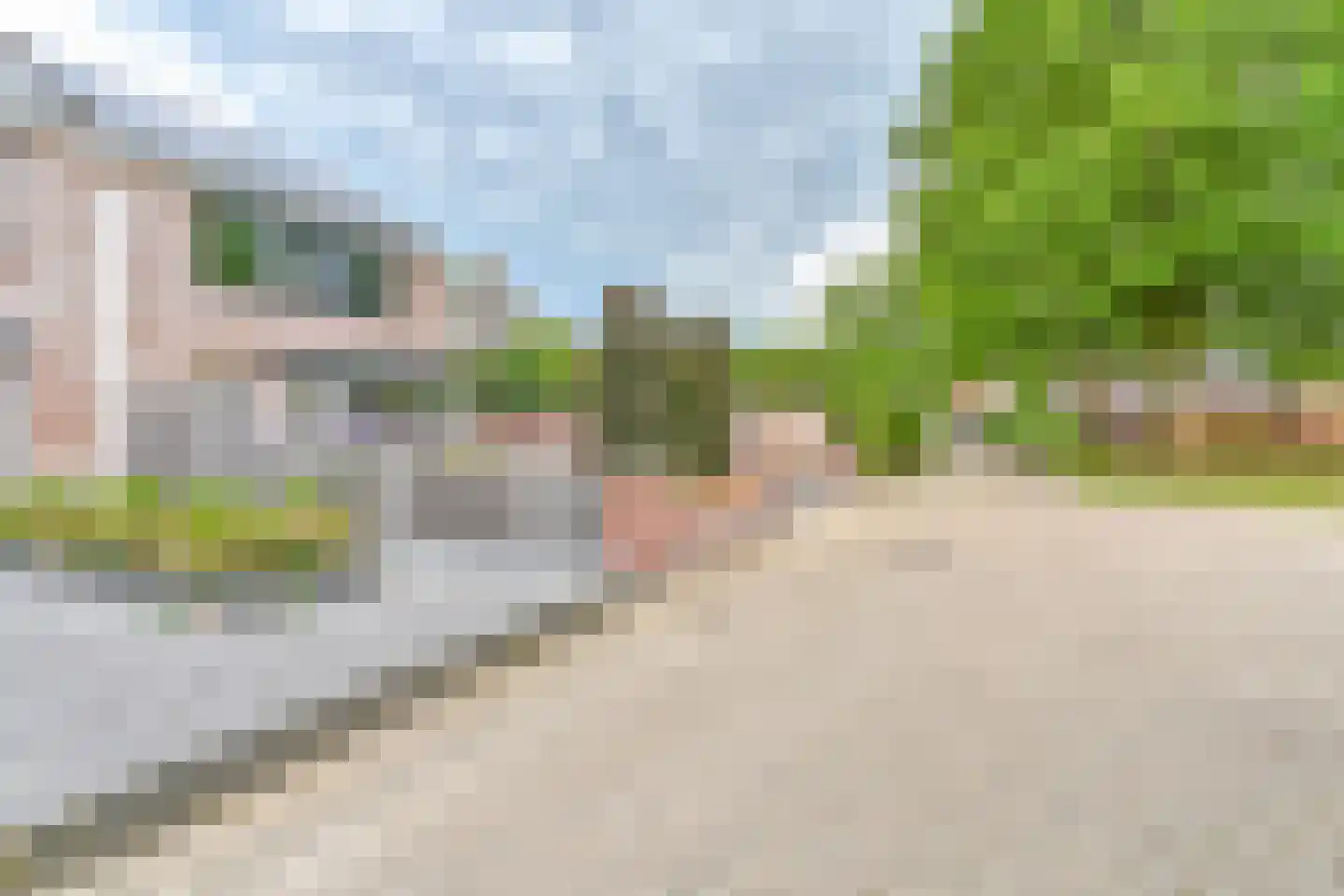 Grijze Kraai 46 Emmen thumbnail 105