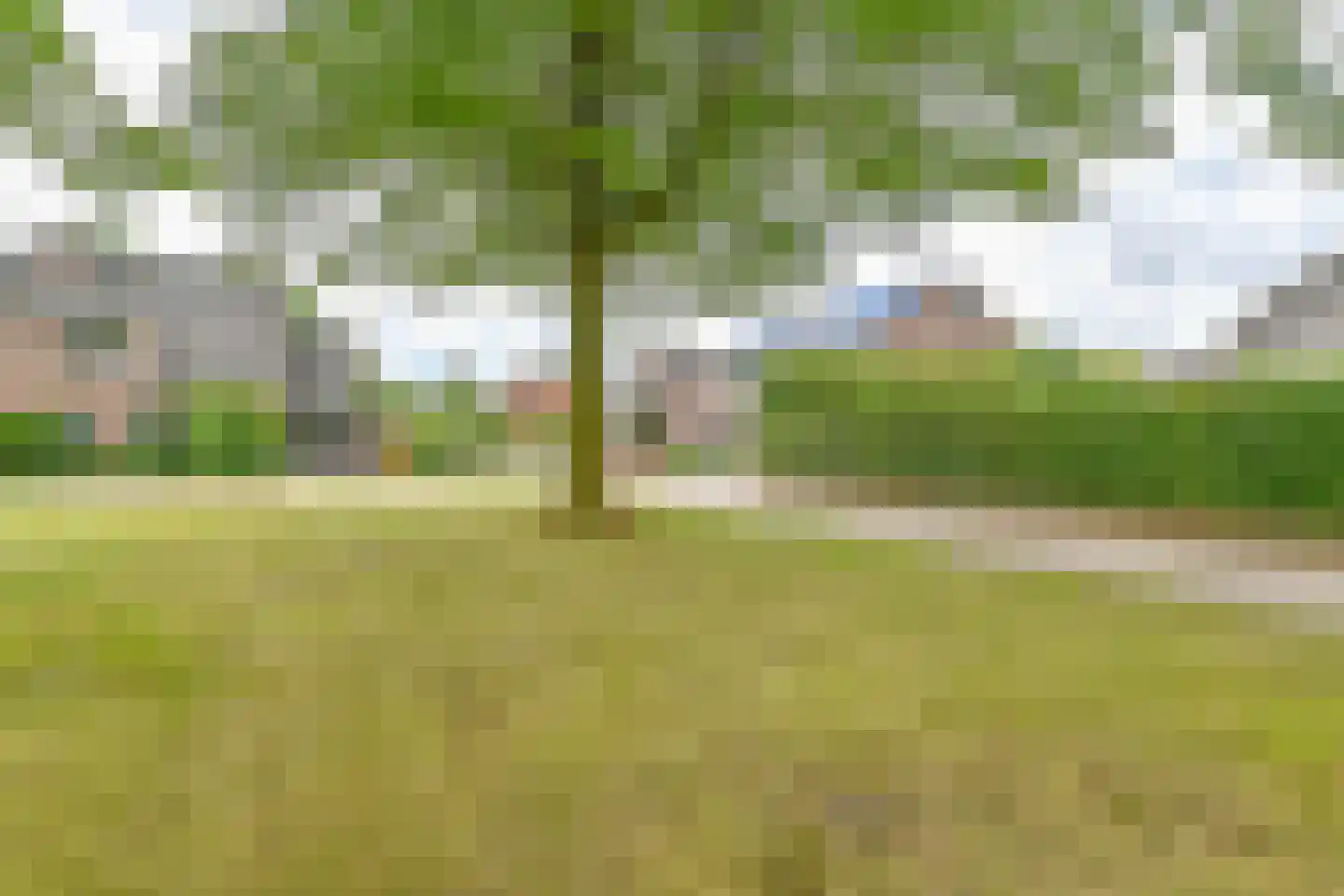 Grijze Kraai 46 Emmen thumbnail 106