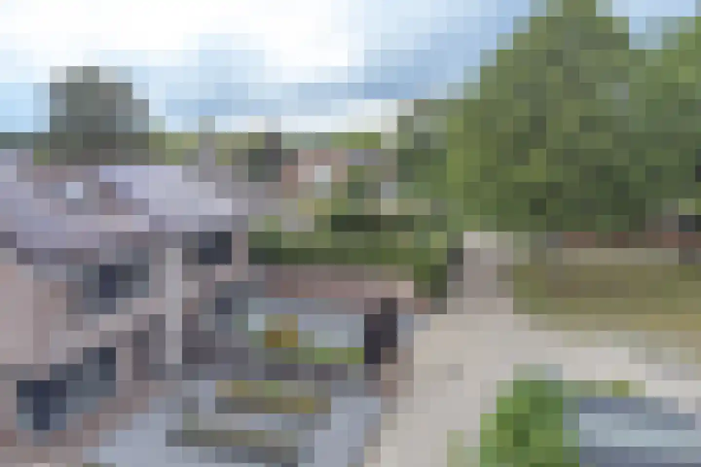 Grijze Kraai 46 Emmen thumbnail 107