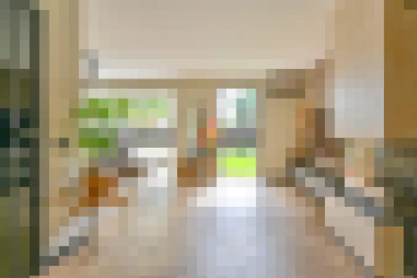 Grijze Kraai 46 Emmen thumbnail 11