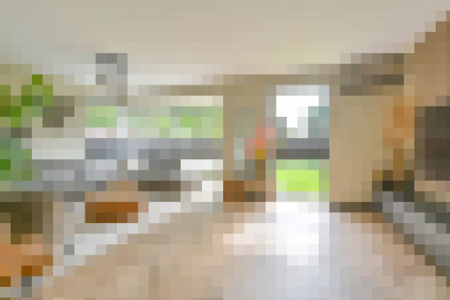 Grijze Kraai 46 Emmen thumbnail 12