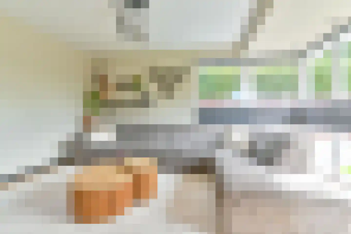 Grijze Kraai 46 Emmen thumbnail 15