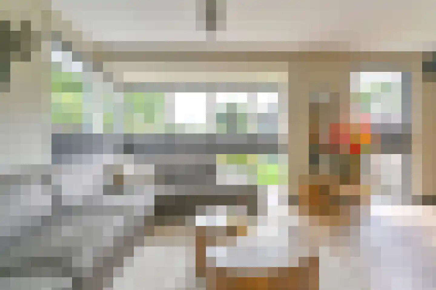 Grijze Kraai 46 Emmen thumbnail 17