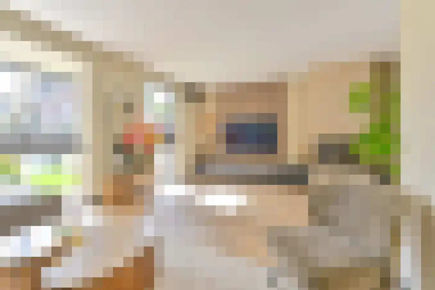 Grijze Kraai 46 Emmen thumbnail 18