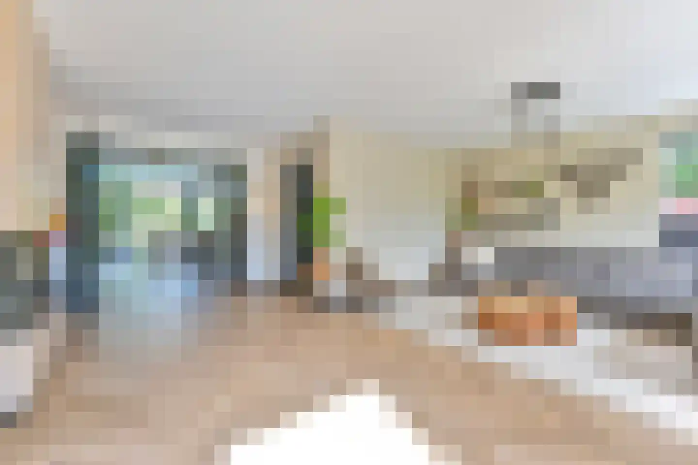 Grijze Kraai 46 Emmen thumbnail 21