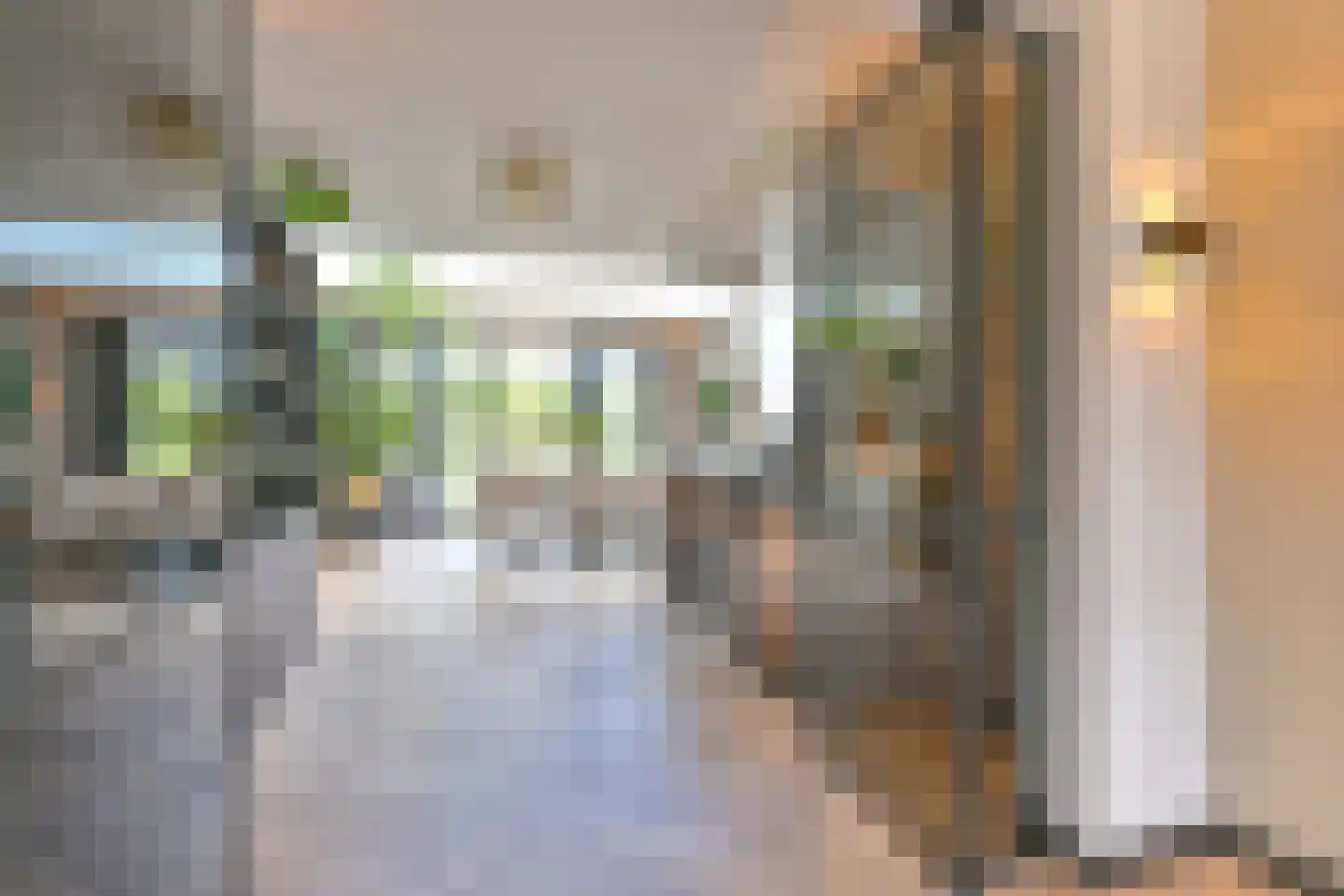 Grijze Kraai 46 Emmen thumbnail 24