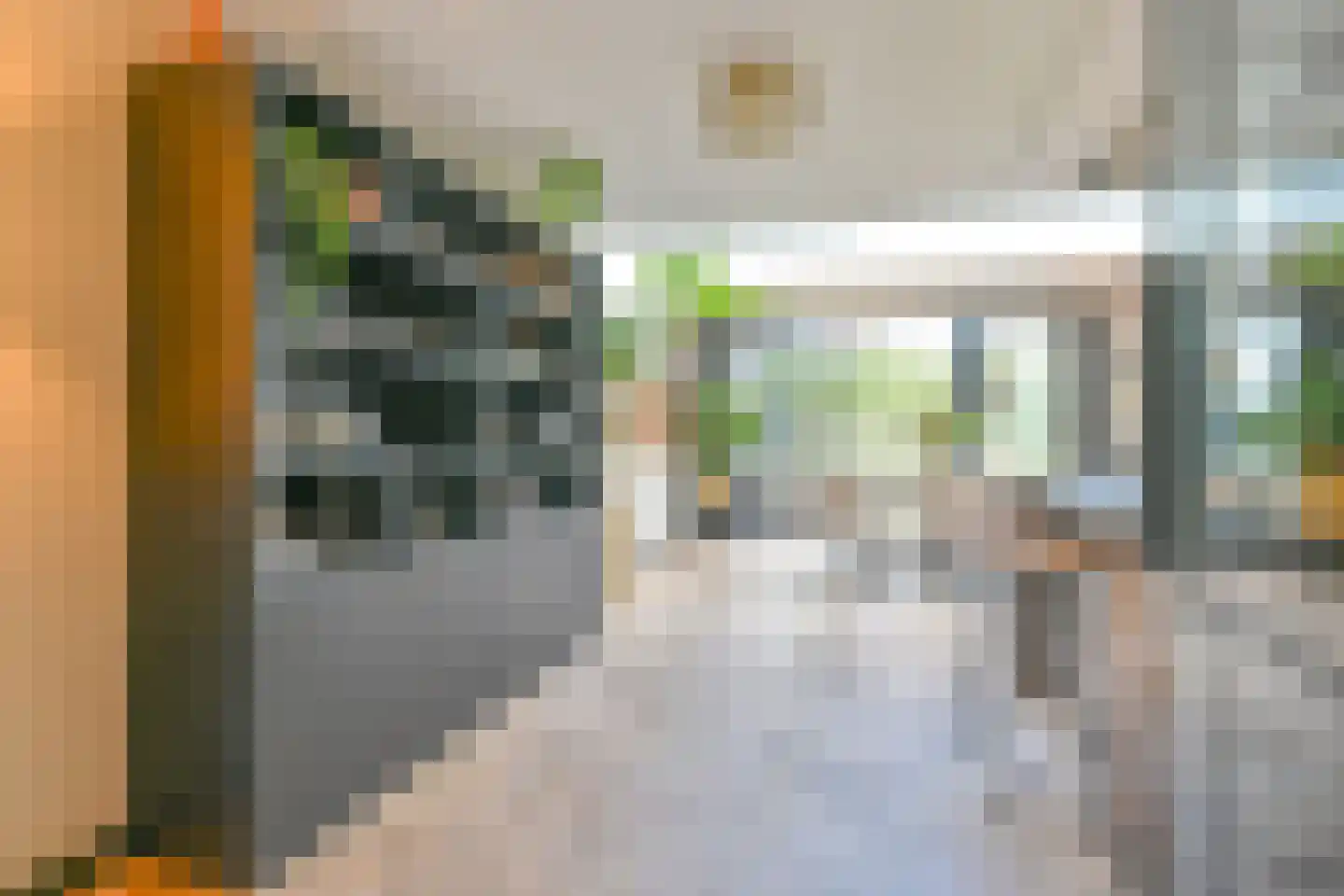 Grijze Kraai 46 Emmen thumbnail 25