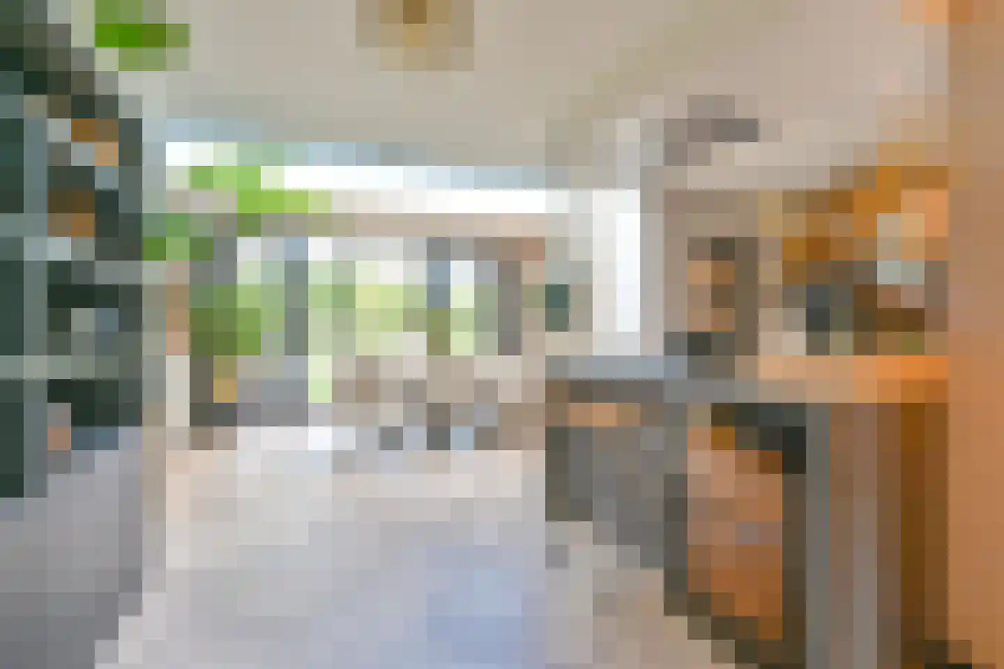 Grijze Kraai 46 Emmen thumbnail 26
