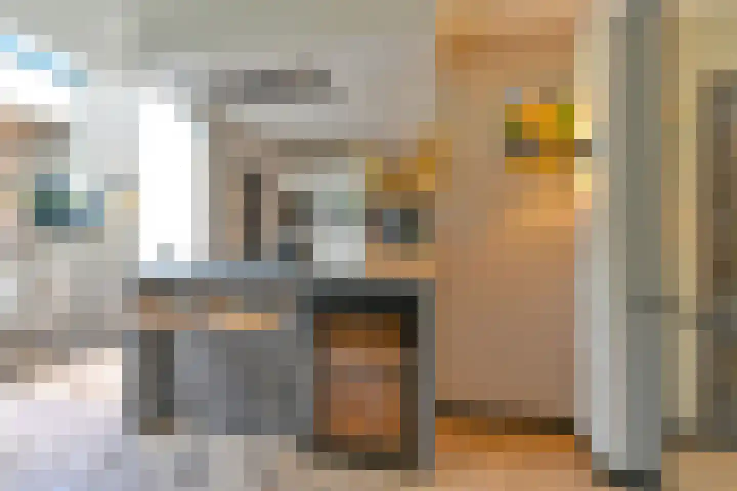 Grijze Kraai 46 Emmen thumbnail 27