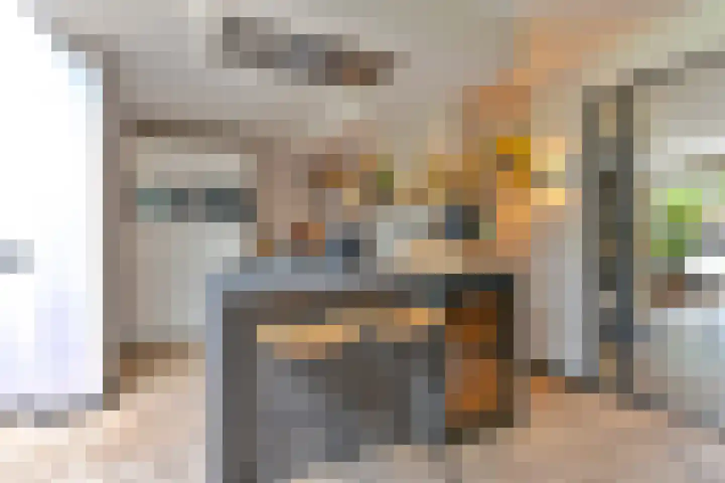 Grijze Kraai 46 Emmen thumbnail 28