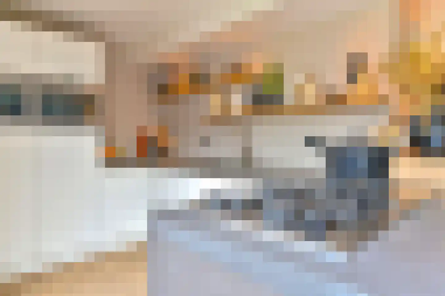 Grijze Kraai 46 Emmen thumbnail 30