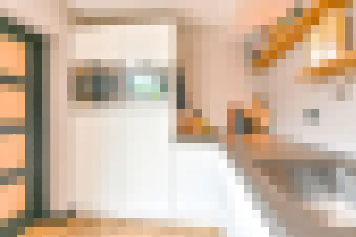 Grijze Kraai 46 Emmen thumbnail 32