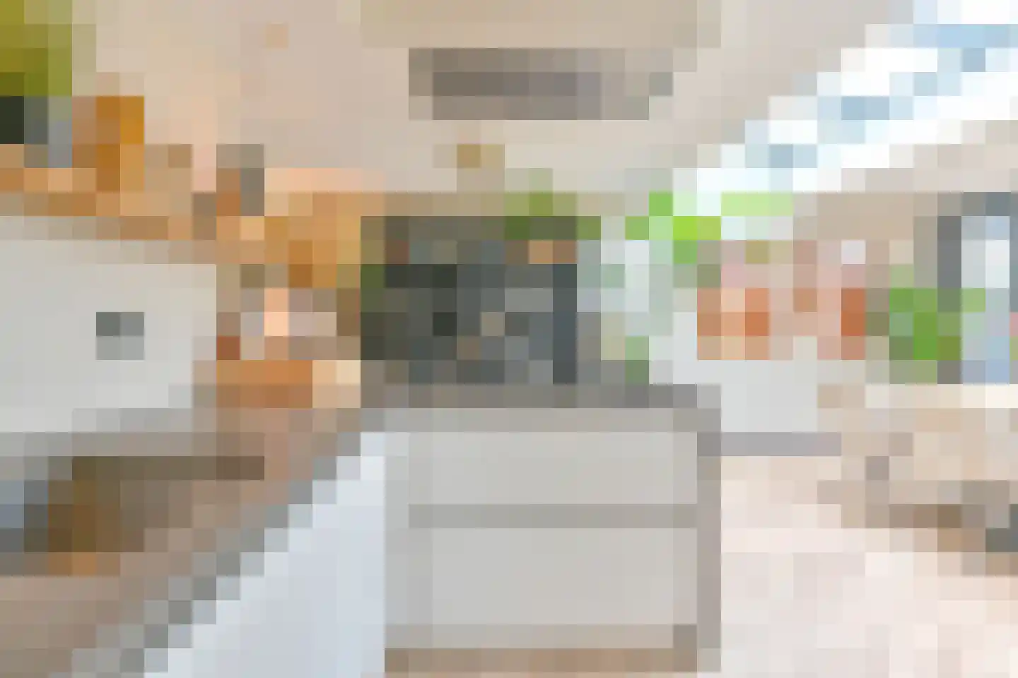 Grijze Kraai 46 Emmen thumbnail 34