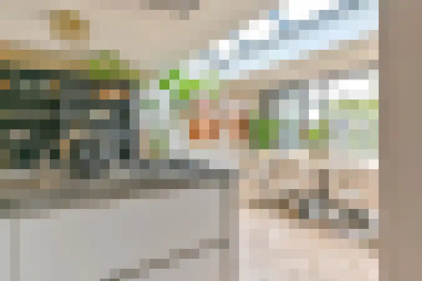 Grijze Kraai 46 Emmen thumbnail 35