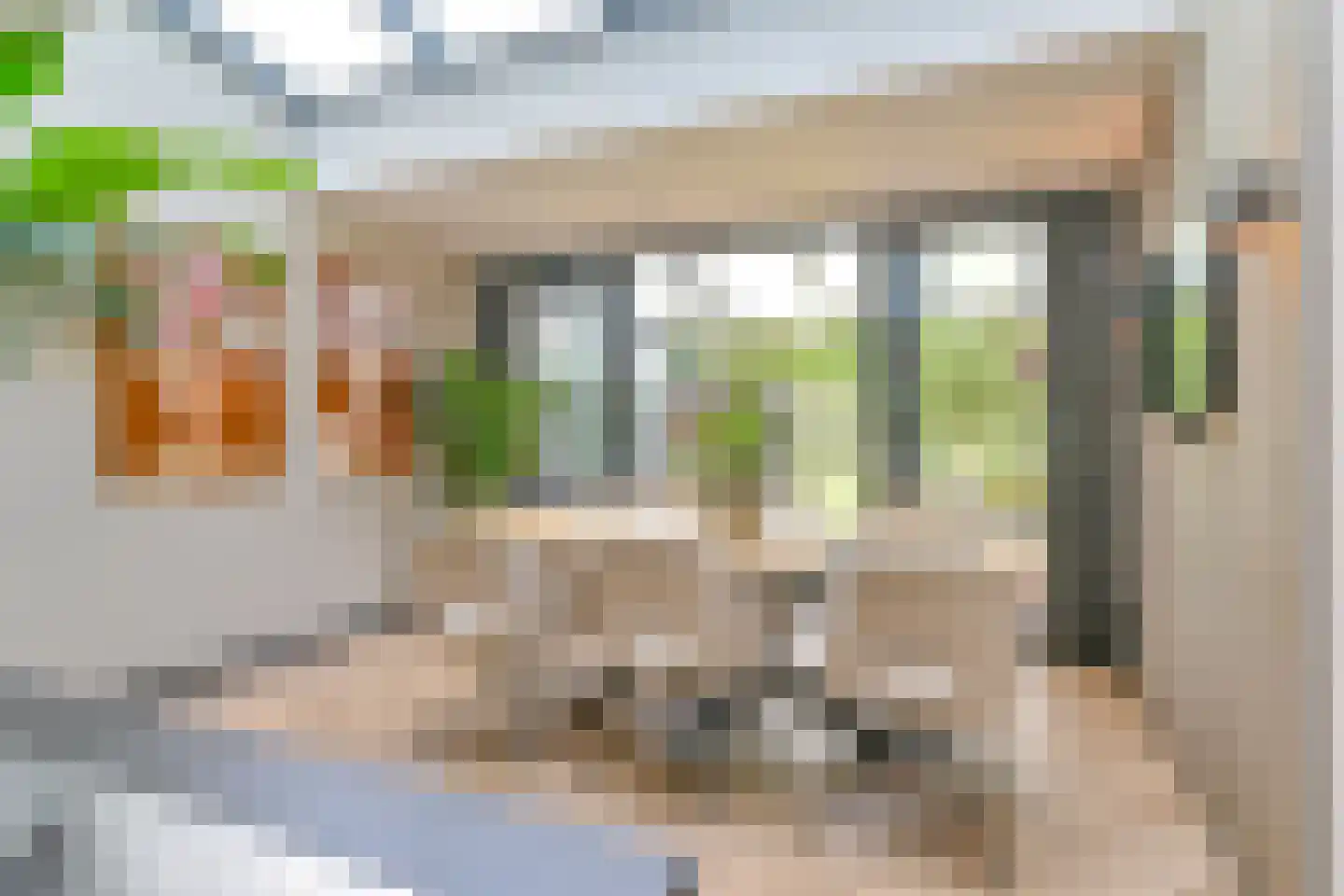 Grijze Kraai 46 Emmen thumbnail 36