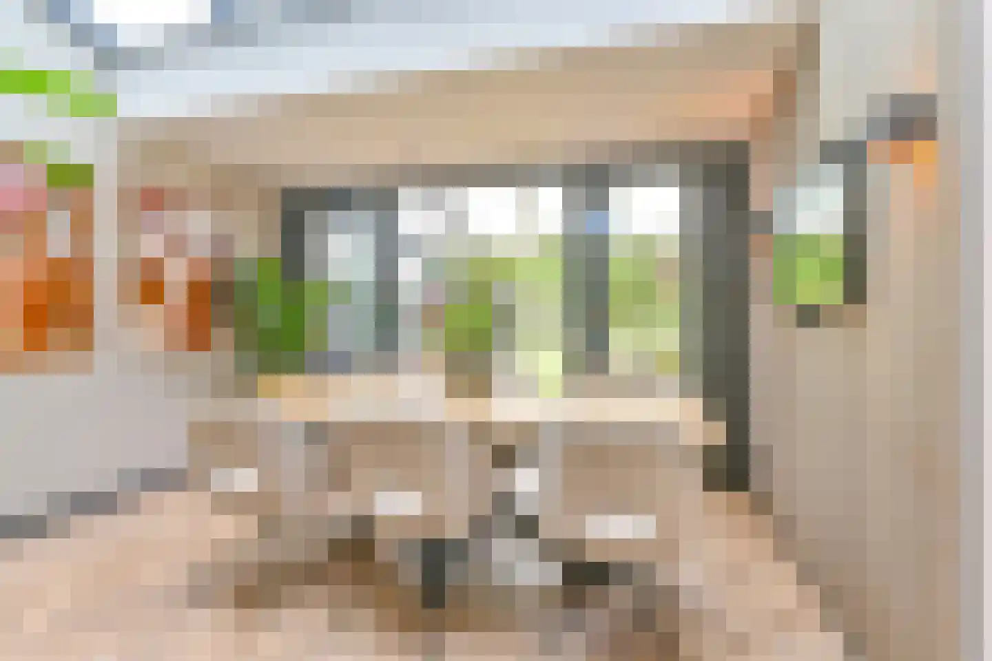 Grijze Kraai 46 Emmen thumbnail 37