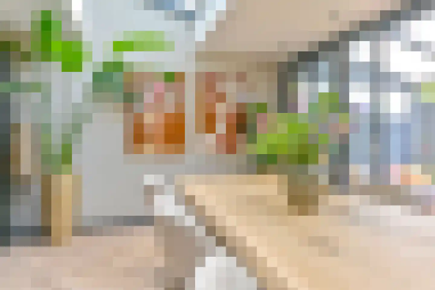 Grijze Kraai 46 Emmen thumbnail 38