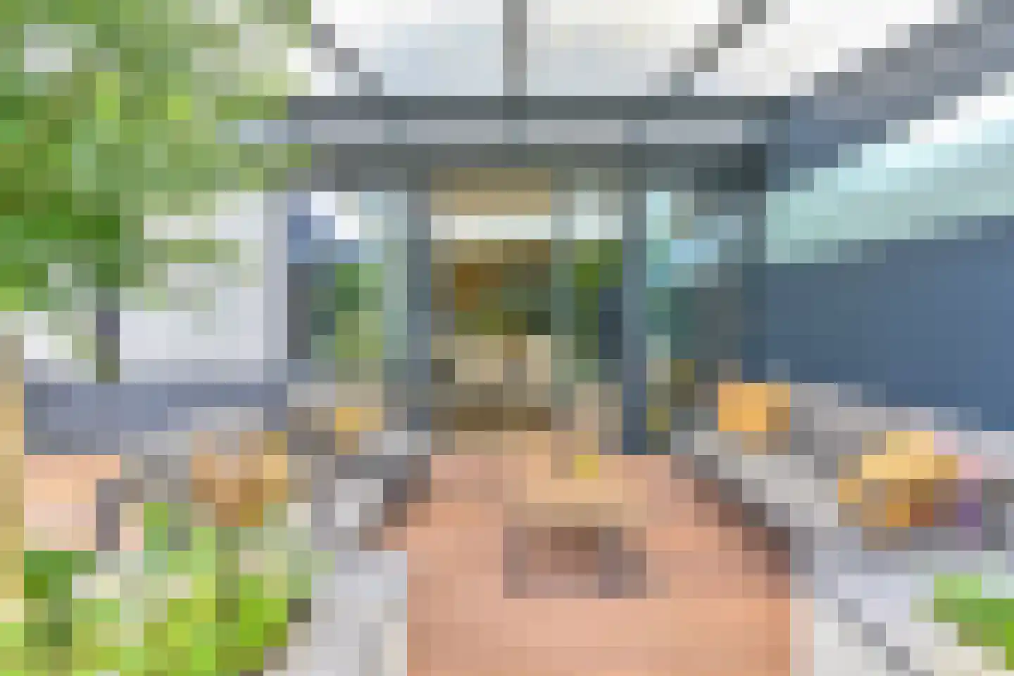 Grijze Kraai 46 Emmen thumbnail 4