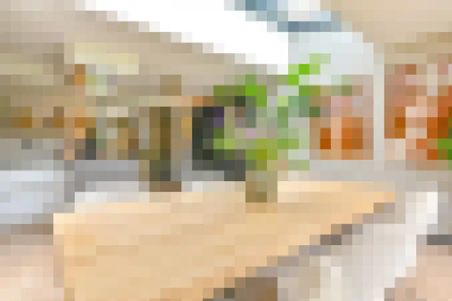 Grijze Kraai 46 Emmen thumbnail 41