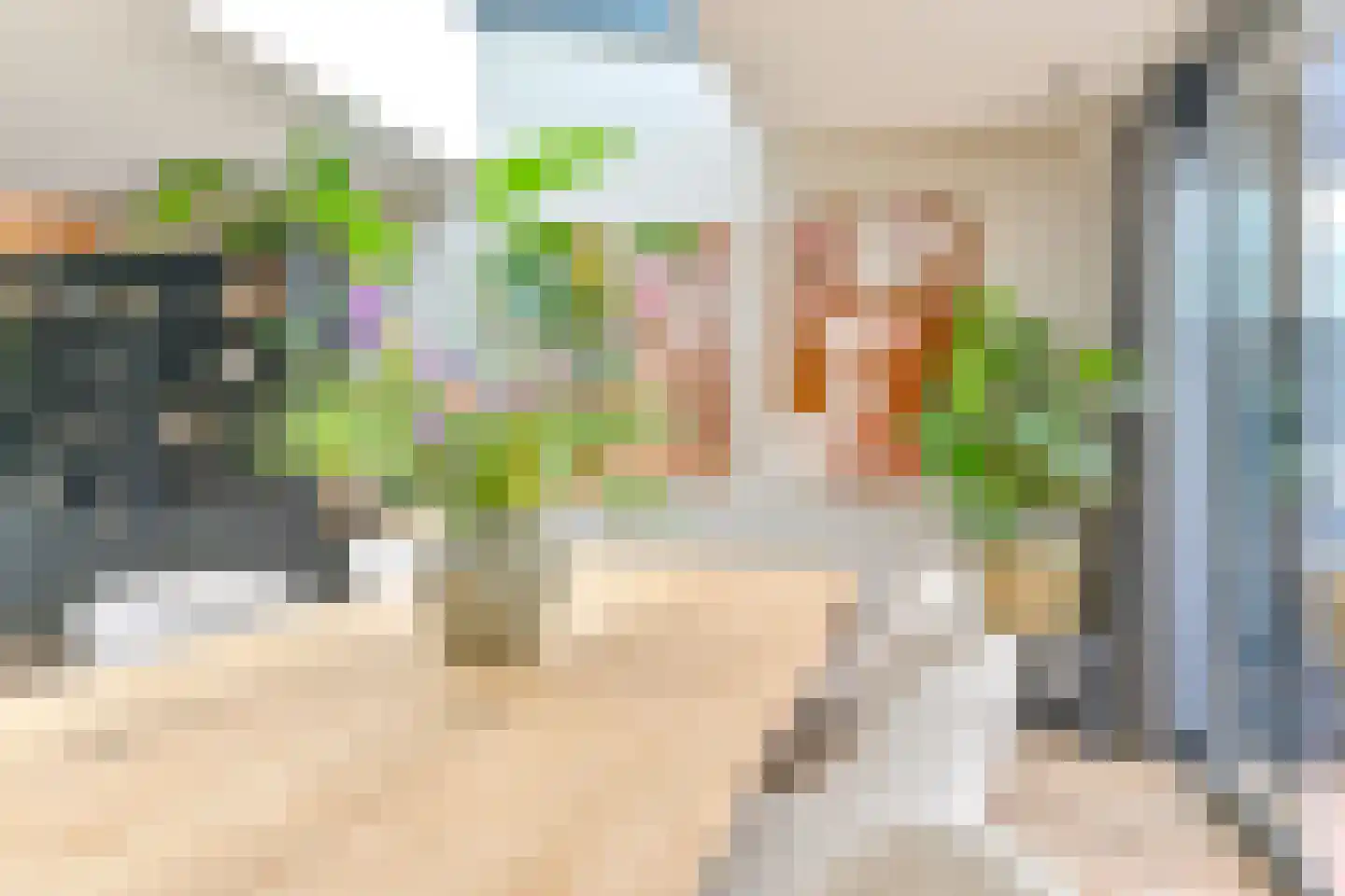 Grijze Kraai 46 Emmen thumbnail 42