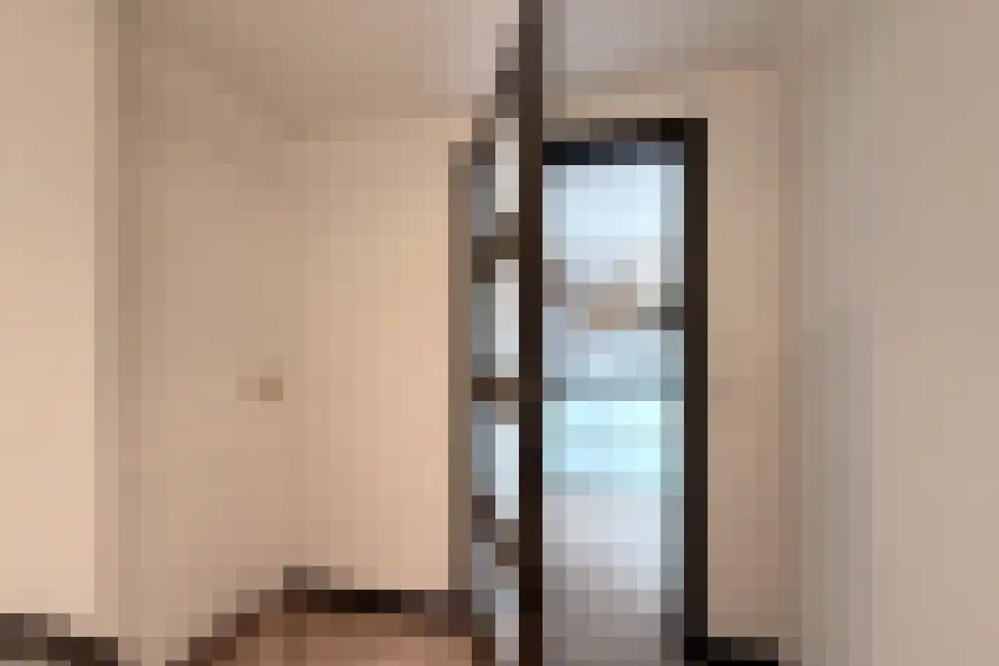 Grijze Kraai 46 Emmen thumbnail 43