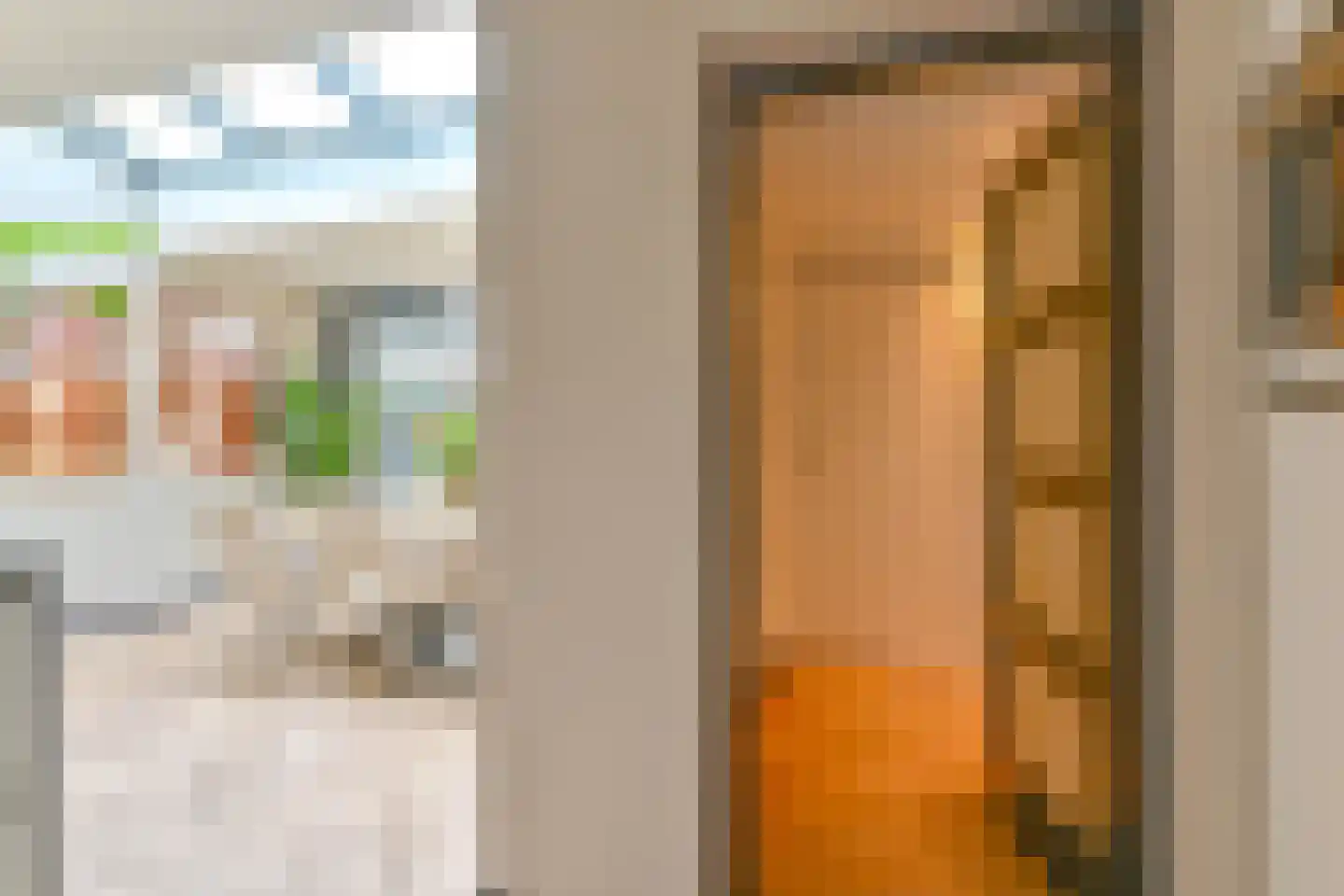 Grijze Kraai 46 Emmen thumbnail 46