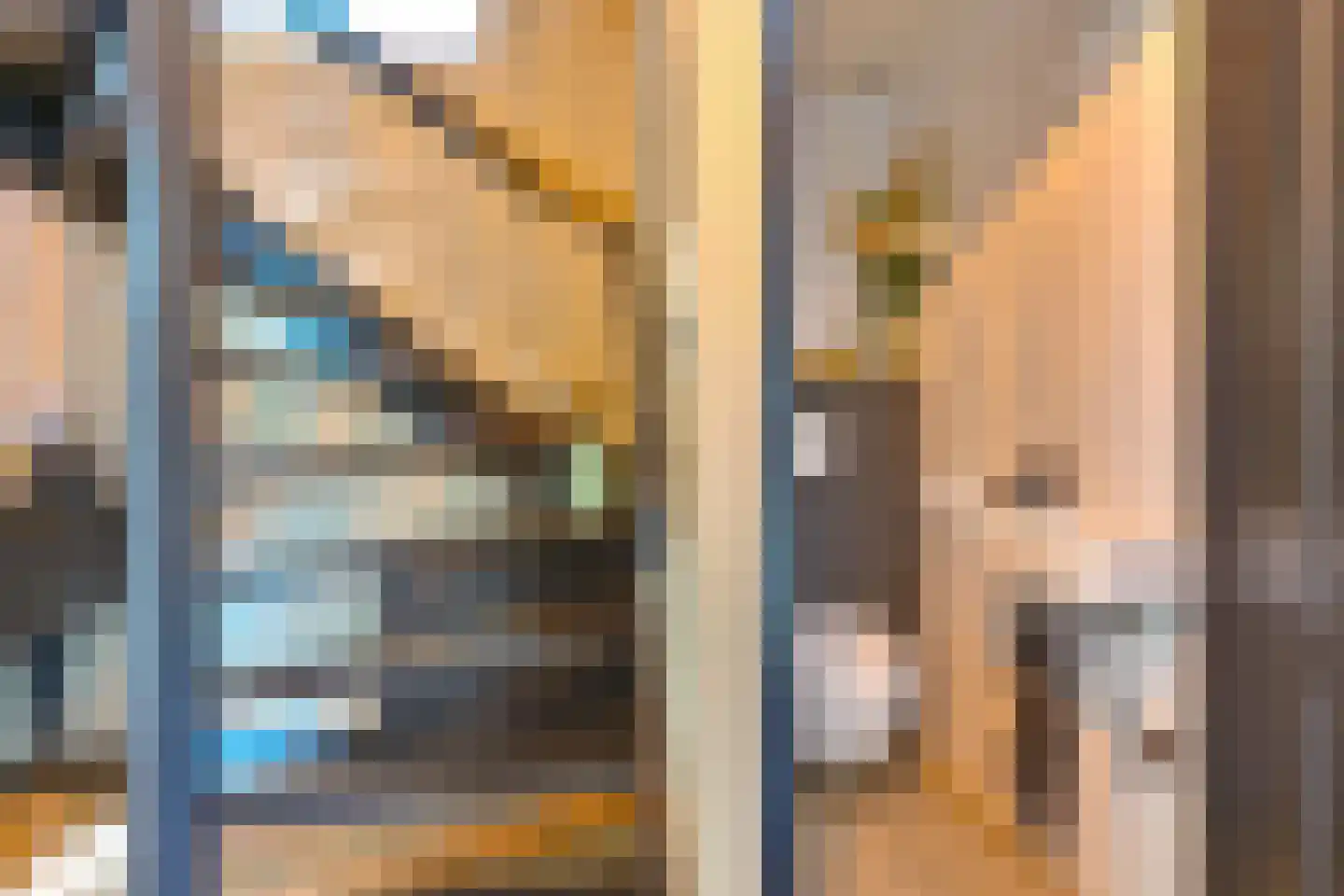 Grijze Kraai 46 Emmen thumbnail 47